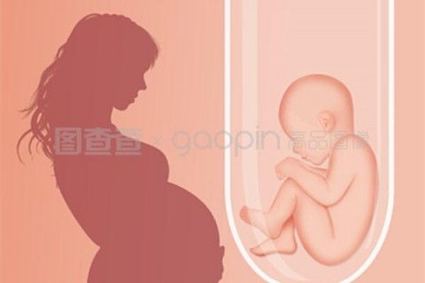 http://zhuhai.hy-ly.com/post/208.html|珠海人工试管