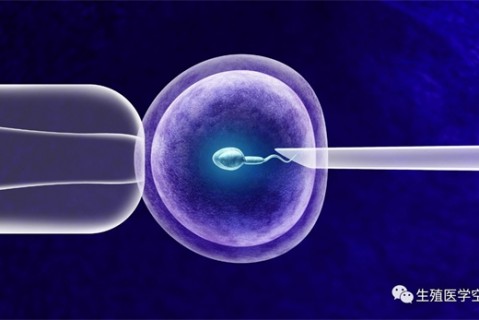 女人珠海代生孩子的最佳年龄段 一辈子生几个孩子最好